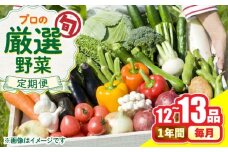 【12回定期便】野菜のプロが選ぶ 旬の野菜セット 12〜13品目 野菜定期便 / 野菜 やさい セット 新鮮 / 南島原市 / 愛2農園 [SGG001]