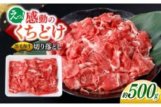 国産 黒毛和牛 熟成肉 切り落とし 500g / 小分け 国産牛 お肉 牛肉 切落し 冷凍 焼肉 すき焼き / 南島原市 / ふるさと企画 [SBA094]