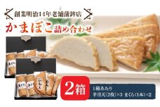 【創業明治14年の老舗】大容量！いわし 半月天 ・ まくら 詰め合わせ / かまぼこ 蒲鉾 カマボコ 練り物 詰め合わせ / 南島原市 / 内田蒲鉾店 [SAH011]