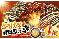 島原半島お好み焼き　南島原焼き　1枚 /　南島原市 / はなぶさ [SCN170]