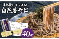 手延べ自然薯そば 2kg（250g×8袋）/ 南島原市 / 川上製麺 [SCM068]
