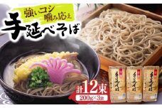 【希少！強いコシ】手延べ そば 600g (200ｇ×3袋) / 蕎麦 ソバ そば 乾麺 麺 3000 3000円 / 南島原市 / 野村屋 [SCS014]