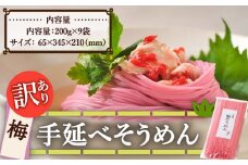 【訳あり】手延べ梅素麺 200g×9袋 / 麺 乾麺 素麺 そうめん 梅 / 南島原市 / のうち製麺 [SAF033]
