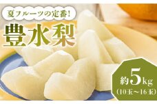 【2026年8月～発送】【口いっぱいのみずみずしさ！】豊水梨 約5kg 梨専門 八木農園 / 梨 なし ナシ / 南島原市 / 贅沢宝庫 [SDZ033]