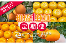 【4回定期便】【2026年7月初回発送】柑橘 4種類 定期便 / ハウスみかん 温室天草 しらぬい せとか 果物 フルーツ / 南島原市 / JA島原雲仙東南部基幹センター [SAC005]