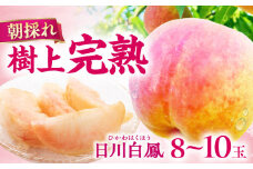 【朝採れ】【数量限定】樹上完熟！日川白鳳（桃）2kg（8ー10玉）ー2025年6月中旬より発送ー 長与町/小林果樹園 [EAT001] 桃 モモ もも 完熟もも 完熟桃 数量限定 先行予約 先行予約2025 せんこうよやく 果物 フルーツ 白鳳 ひかわはくほう
