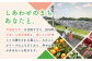 カステラ人気 カステラ 長崎カステラ ギフト スイーツ 熨斗 人気 お菓子 和菓子 常温 かすてら ざらめ ザラメ 文明堂