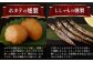  薫製 燻製 くんせい おつまみ 珍味 詰合せ 詰め合わせ セット スモーク 長崎県 特産品 チーズ ちーず 牡蠣