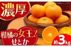 みかん『せとか』 約3kg -2025年3月から順次発送- せとか 長与町/かわはら [EAS002] 柑橘 完熟 九州せとか みかん せとか ミカン 果物 長崎せとか フルーツ くだもの 国産 せとか 3㎏ 先行予約 数量限定 長崎県 長与町 長与せとか 