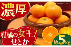 みかん『せとか』 約5kg -2025年3月から順次発送- せとか 長与町/かわはら [EAS003] 柑橘 完熟 九州せとか みかん ミカン 果物 長崎せとか フルーツ くだもの 国産 せとか 3㎏ 先行予約 数量限定 長崎県 長与町 長与せとか