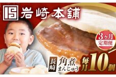 【全3回定期便】【簡易包装】長崎角煮まんじゅう 10個 長与町/岩崎本舗 [EAB018] 岩崎本舗の角煮まんじゅう かくに 角煮まん 角煮まんじゅう 長崎 岩崎 岩崎本舗 定期 定期便 ていきびん