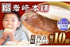 【全6回定期便】【簡易包装】長崎角煮まんじゅう 10個 長与町/岩崎本舗 [EAB024] 岩崎本舗の角煮まんじゅう かくに 角煮まん 角煮まんじゅう 長崎 岩崎 岩崎本舗 定期 定期便 ていきびん