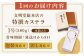 カステラ 長崎 ギフト スイーツ 熨斗 人気 お菓子 和菓子 送料無料 常温 かすてら ざらめ ザラメ 文明堂 定期 定期便