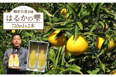 【ギフト可】【糖度15度前後】はるかの雫（720ml×2本）長与町/岩永農園 [EAZ001] みかん ミカン ジュース 果物 フルーツ