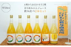 【飲み比べ】長与町産 みかんジュース 2本セット＜JA長崎せいひ じげもん長与＞ [EAF001] ジュース 詰め合わせ 瓶 ミカン みかん 蜜柑 フルーツ 果物