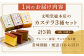 カステラ 長崎 贈答 ギフト 詰め合わせ 人気 和菓子 送料無料 常温 かすてら ざらめ ザラメ 文明堂 個包装 定期 定期便