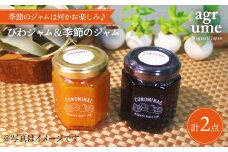 びわジャム＆季節のジャム 各1個 長与町/アグリューム [EAI004] 瓶 個別 セット ジャム 季節 びわ じゃむ