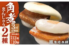 【全3回定期便】【化粧箱】長崎角煮まんじゅう12個＆大とろ角煮まんじゅう10個 長与町/岩崎本舗 [EAB034] 大とろ角煮 長崎 岩崎 岩崎本舗 定期 定期便
