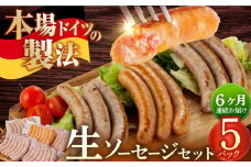 【毎月35本×6回定期便】 生ソーセージ 詰め合せ セット 7本入り×5袋 / 長与町 / 雪の浦手造りハム [EAM042] 国産 ソーセージ そーせーじ ウインナー ういんなー 小分け パック 冷凍 肉 詰合せ 詰め合わせ セット おつまみ バーベキュー BBQ 定期便 定期 毎月