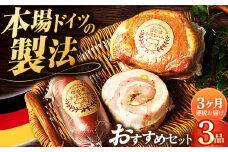 【国際大会金賞】【毎月3点×3回定期便】店主おすすめ セット 毎月3品（計9品） / 無添加ロースハム ビアシンケン ベリーロールブロック / 長与町 / 雪の浦手造りハム [EAM032] 無添加 ハム ロースハム 冷凍 おすすめ セット 定期便 定期 毎月