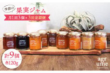 【全3回定期便】 季節の果実ジャム 毎月3本（120g/本） 長与町/アグリューム [EAI007] 瓶 個別 セット ジャム