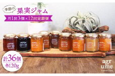 【全12回定期便】 季節の果実ジャム 毎月3本（120g/本） 長与町/アグリューム [EAI009] 瓶 個別 セット ジャム
