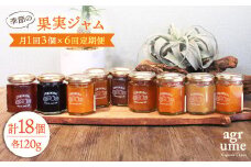 【全6回定期便】 季節の果実ジャム 毎月3本（120g/本） 長与町/アグリューム [EAI008] 瓶 個別 セット ジャム
