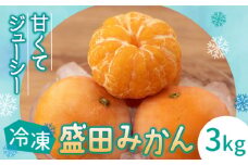 盛田 みかん 冷凍 3kg 長与町/山口農園 [EBI005] みかん 柑橘 フルーツ 季節限定 みかん 先行予約