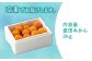 冷凍みかん みかん 柑橘 果物 くだもの フルーツ 季節限定 先行予約 数量 温州みかん ミカン 先行予約