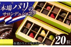 チョコレート《ギフト》トリュフチョコレート 詰め合わせ（20粒）長与町/CAKE SHOP FAVORI [EBV001] チョコレート ちょこれーと ボンボンショコラ 高級 バレンタイン スイーツ すいーつ ショコラ トリュフチョコ チョコ ちょこ ギフト セット