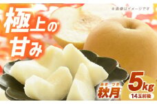 【先行予約】【数量限定】秋月（梨）約5kg（14玉前後）ー2025年9月より発送ー 長与町/溝上農園 [EBY003] 長崎県産 長与町 先行予約 産地直送 大容量 フルーツ 果物 梨 なし ナシ 秋月 あきづき 大容量 5kg お取り寄せ
