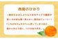 ジュース みかんジュース 飲料 ストレートジュース 100％ジュース