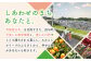 ジュース みかんジュース 飲料 ストレートジュース 100％ジュース