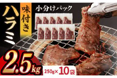 ハラミ【塩だれ】九州産和牛ハラミ 2.5kg（250g×10袋）長与町/岩永ホルモン [EAX088] 国産 こくさん 牛肉 ハラミ 牛ハラミ はらみ 小分け 味付き サガリ 焼肉 焼き肉 塩 しお 冷凍 焼肉 焼き肉 やきにく 九州
