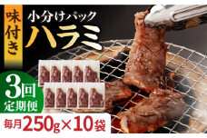 【全3回定期便】ハラミ【塩だれ】九州産和牛ハラミ 2.5kg（250g×10袋）長与町/岩永ホルモン [EAX089] 国産 牛肉 ハラミ 牛ハラミ はらみ 小分け 味付き サガリ 焼肉 焼き肉 塩 しお 冷凍 焼肉 焼き肉 やきにく 九州 定期便 ていきびん 定期