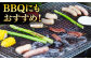国産 牛肉 ハラミ 牛ハラミ はらみ 小分け 味付き サガリ 焼肉 焼き肉 塩 しお 冷凍 焼肉定期便 ていきびん 定期