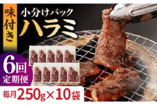 【全6回定期便】ハラミ【塩だれ】九州産和牛ハラミ 2.5kg（250g×10袋）長与町/岩永ホルモン [EAX090] 国産 牛肉 ハラミ 牛ハラミ はらみ 小分け 味付き サガリ 焼肉 焼き肉 塩 しお 冷凍 焼肉 焼き肉 やきにく 九州 定期便 ていきびん 定期