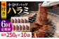国産 牛肉 ハラミ 牛ハラミ はらみ 小分け 味付き サガリ 焼肉 焼き肉 塩 しお 冷凍 焼肉定期便 ていきびん 定期