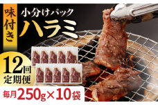 【全12回定期便】ハラミ【塩だれ】九州産和牛ハラミ 2.5kg（250g×10袋）長与町/岩永ホルモン [EAX091] 国産 牛肉 ハラミ 牛ハラミ はらみ 小分け 味付き サガリ 焼肉 焼き肉 塩 しお 冷凍 焼肉 焼き肉 やきにく 九州 定期便 ていきびん 定期