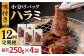 国産 牛肉 ハラミ 牛ハラミ はらみ 小分け 味付き サガリ 焼肉 焼き肉 塩 しお 冷凍 焼肉定期便 ていきびん 定期