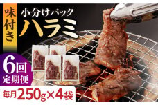 【全6回定期便】ハラミ【塩だれ】九州産和牛ハラミ 1kg（ 250g×4袋） 長与町/岩永ホルモン [EAX094] 国産 牛肉 ハラミ 牛ハラミ はらみ 小分け 味付き サガリ 焼肉 焼き肉 塩 しお 冷凍 焼肉 焼き肉 やきにく 九州 定期便 ていきびん 定期
