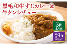 【全3回定期便】 黒毛和牛 牛すじカレー＆牛タンシチュー 毎月3食 長与町/炭火焼肉あおい [EBW007] 黒毛和牛 カレー かれー レトルト 牛タン 牛たん シチュー しちゅー 簡単 常温 定期便 定期 ていきびん