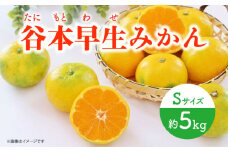 【先行予約】極早生（谷本早生） みかん Sサイズ 約5kg ー2025年10月より発送ー 長与町/山口農園 [EBI006] みかん 柑橘 果物 くだもの フルーツ 季節限定 数量限定 温州みかん ミカン 5kg 先行予約 産地直送 長崎県産 長与町