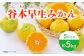 みかん 柑橘 果物 くだもの フルーツ 季節限定 数量限定 温州みかん ミカン 先行予約