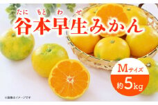 【先行予約】極早生（谷本早生） みかん Mサイズ 約5kg  ー2025年10月より発送ー 長与町/山口農園 [EBI007] みかん 柑橘 果物 くだもの フルーツ 季節限定 数量限定 温州みかん ミカン 5kg 先行予約 産地直送 長崎県産 長与町