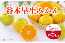【先行予約】極早生（谷本早生） みかん Lサイズ 約5kg  ー2025年10月より発送ー 長与町/山口農園 [EBI008] みかん 柑橘 果物 くだもの フルーツ 季節限定 数量限定 温州みかん ミカン 5kg 先行予約 産地直送 長崎県産 長与町