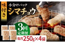 【全3回定期便】【塩だれ】九州産和牛 ホルモン シマチョウ 1kg（250g×4袋）長与町/岩永ホルモン [EAX105] ホルモン焼き 国産 牛肉 ホルモン シマチョウ 小分け 味付き 冷凍 焼肉 焼き肉 和牛 塩 しお 牛 定期便 ていきびん 定期
