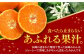 ご家庭用 温州みかん みかん 約10kg 温州みかん 10kg みかん 先行予約 果物 フルーツ 季節限定 季節 期間 限定