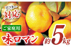 【ご家庭用】味ロマン 約5kg（約50～60個）ー2025年11月下旬より発送ー 長与町/長崎西彼農業協同組合 長与支店 [EAH004] みかん ミカン みかん 先行予約