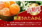 優品 味ロマン 5kg みかん ミカン みかん 先行予約 蜜柑 果物 フルーツ 季節限定 季節 期間 限定